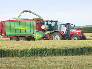 Silage